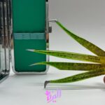 ست پنس مژه حرفه ای ناوینا - Navina