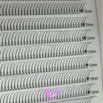 پالت مژه کینگ (کایلی)