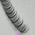 مژه ریسه‌ای فیشر کینگ c Fisher King