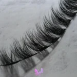 فیدر الیزه