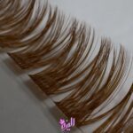 فیشر قهوه ای