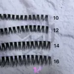 مژه فیشر مینی