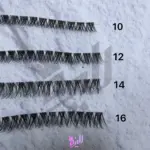 مژه ریسه‌ای فیشر Fisher فر D