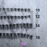 مژه ریسه‌ای فیشر کینگ  Fisher King