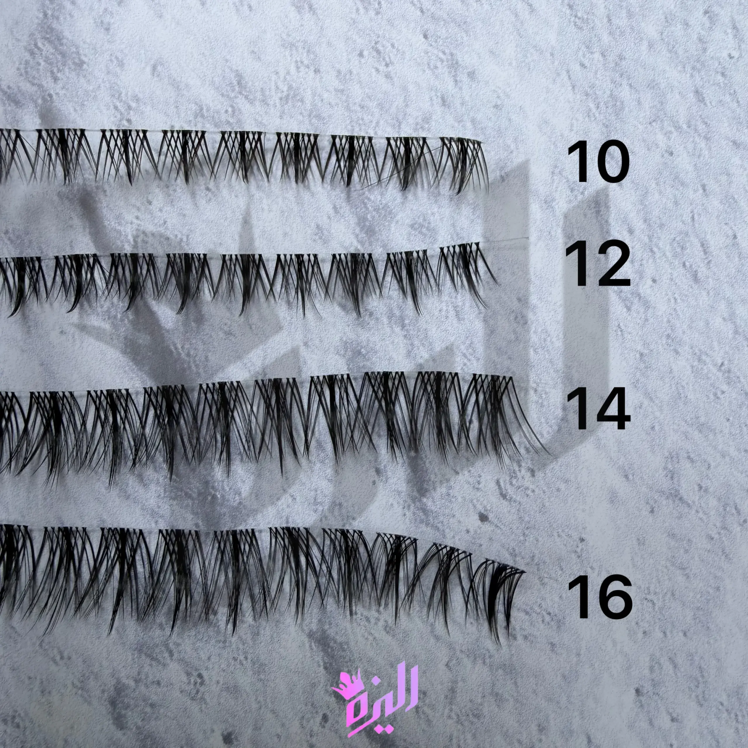 مژه ریسه‌ای فیشر کینگ  Fisher King