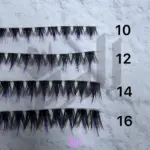 مژه کینگ آمبره