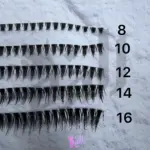 مژه ریسه ای راشن ردچری