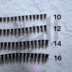 مژه راشن آمبره