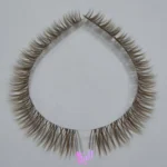 فیشر سوزنی قهوه ای