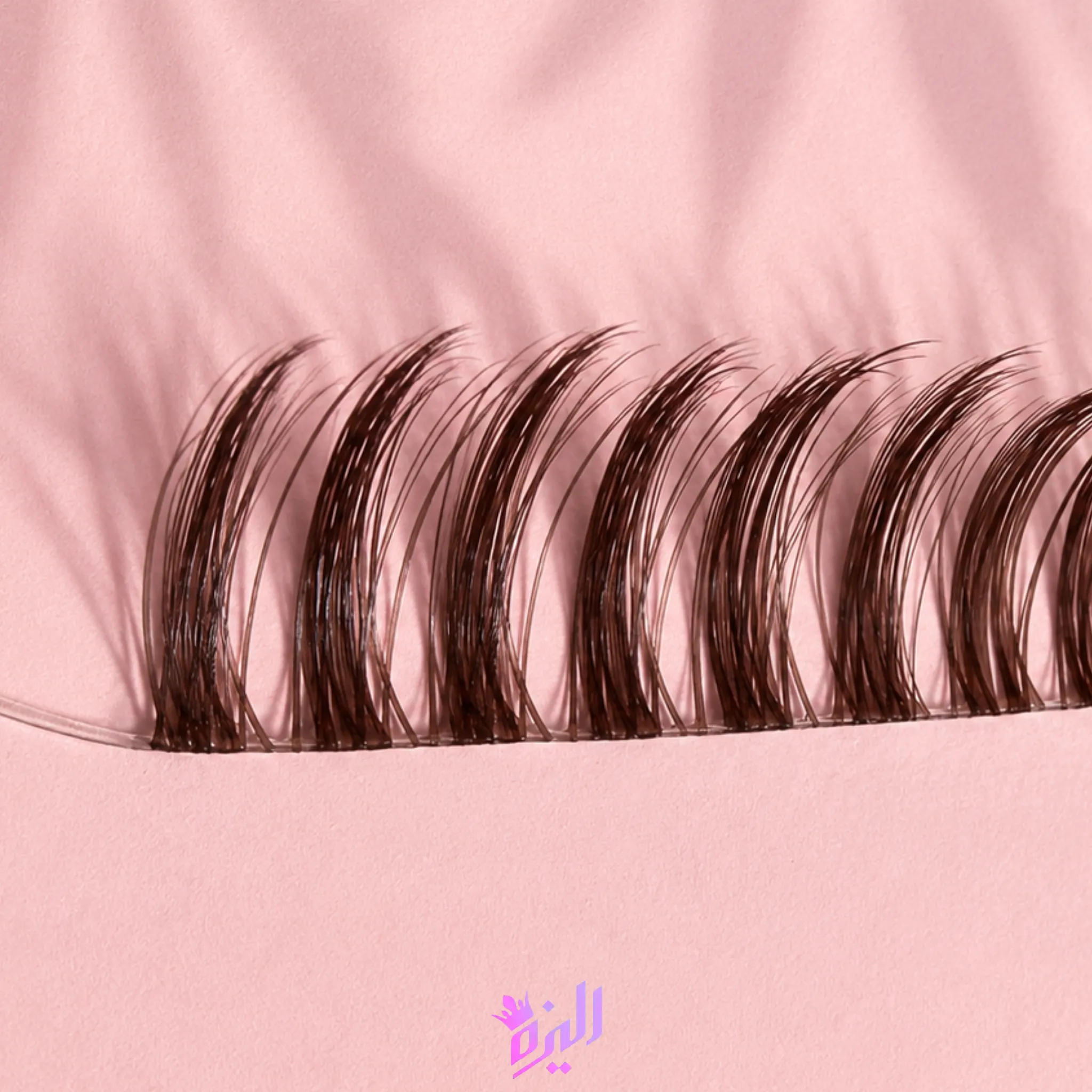 راشن قهوه ای (ردچری)